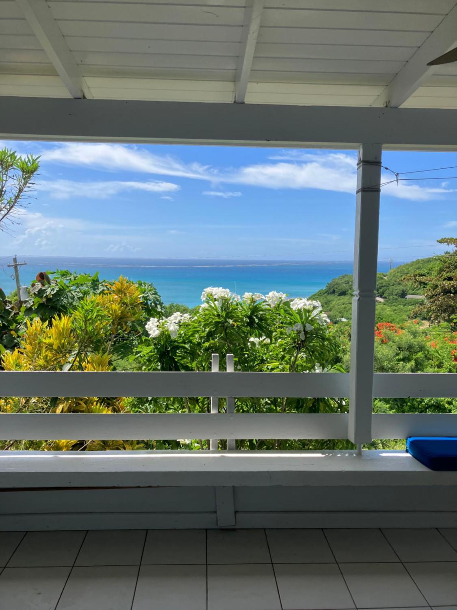 Halcyon Heights Condominium Dickenson Bay Bagian luar foto